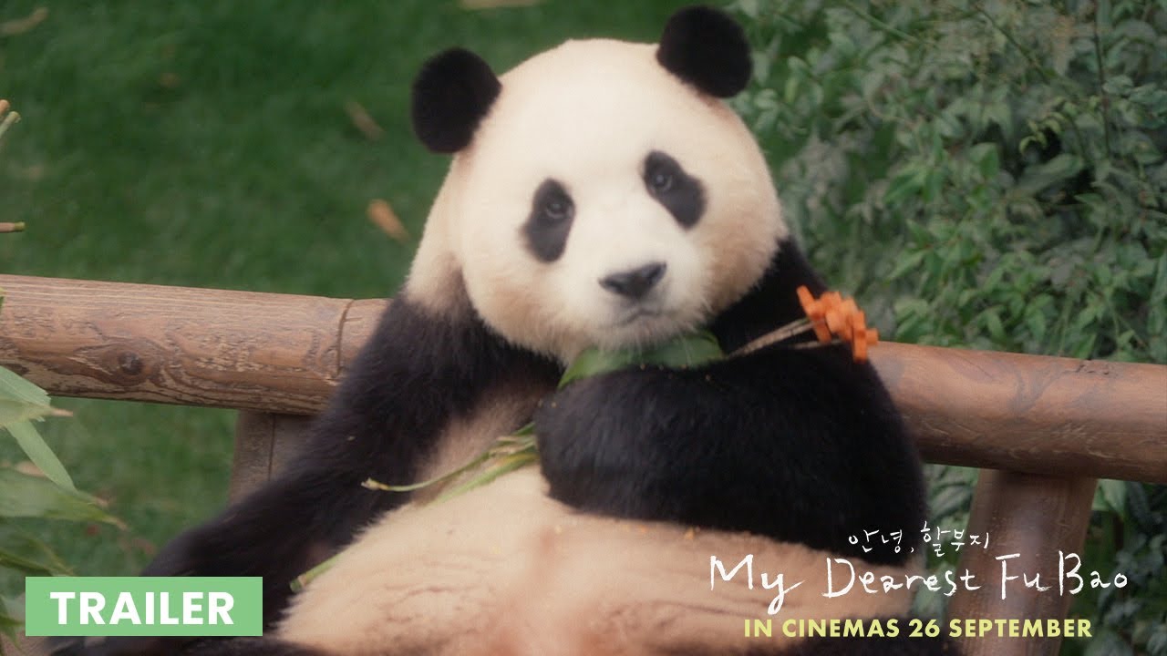 My Dearest Fu Bao Trailer