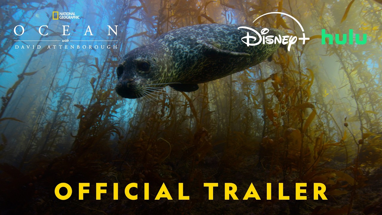 Ocean with David Attenborough Trailer